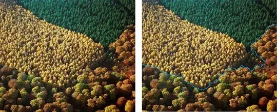 segmentation
