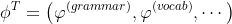 \phi^T = \left ( \varphi^{(grammar)}, \varphi^{(vocab)}, \cdots \right )