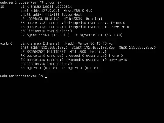ifconfig of VM
