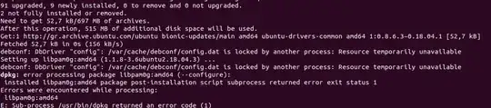 terminal output