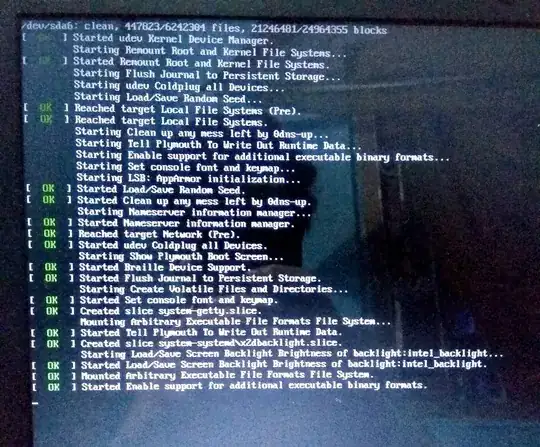 screen image