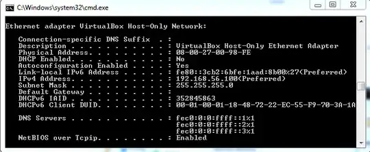 Windows ipconfig /all Results