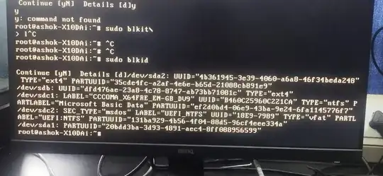 output of sudo blkid