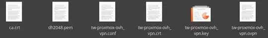 openvpn folder