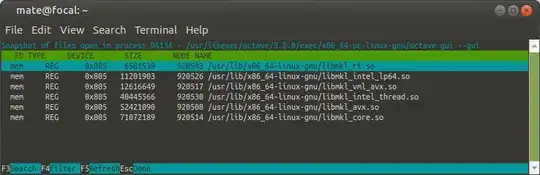mkl libraries are listed