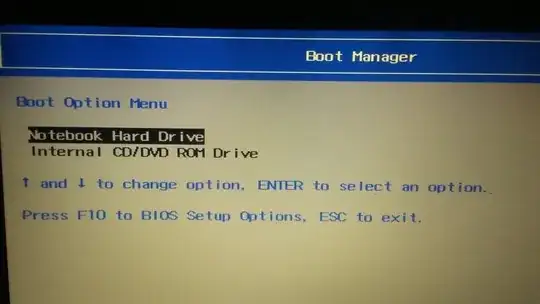 Boot Option Menu