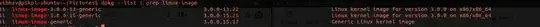 output of dpkg -l linux-image-...