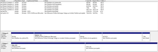 Disk partitioning with ESP, Principal partition for C drive & principal partition for <code>/</code>