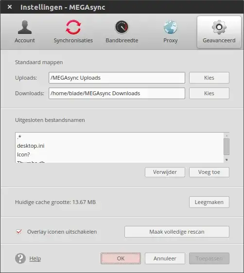 Mega Sync Client - settings - advanced