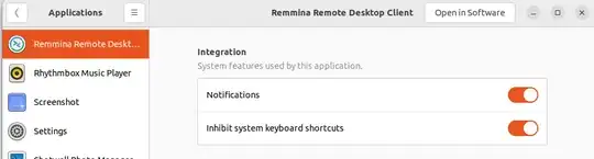 remmina settings