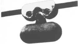 Conductor with attached weight