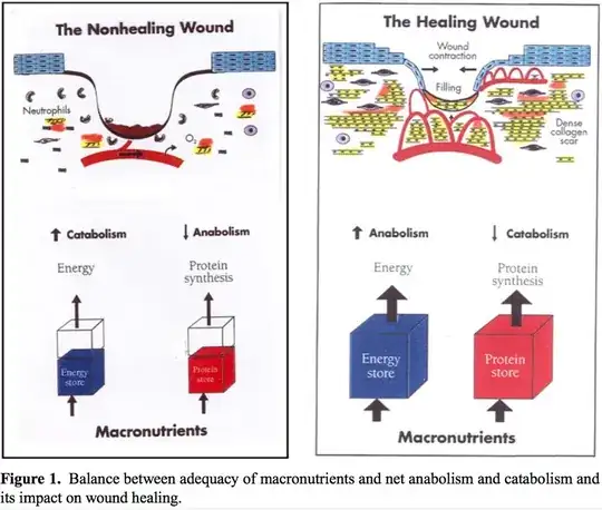 Nutrition, Anabolism, and the Wound Healing Process, p2