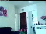 Video feed: Linksys Wireless Internet Monitoring Camera, WVC54GCA