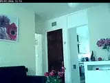 Video feed: Linksys Wireless Internet Monitoring Camera, WVC54GCA