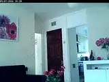 Video feed: Linksys Wireless Internet Monitoring Camera, WVC54GCA
