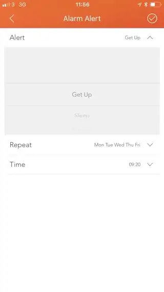 Alarm Alert, Get Up, VeryFitPro app, iOS)