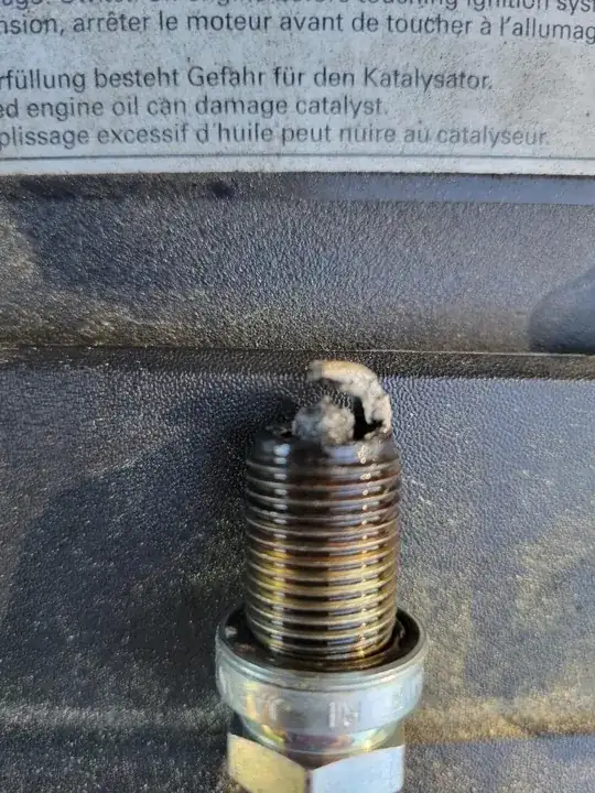 plugb