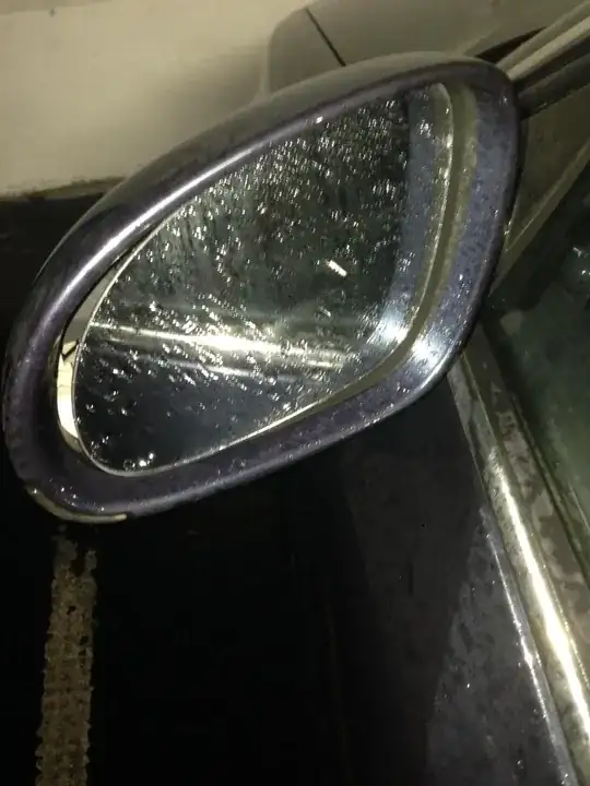 Left Wing Mirror