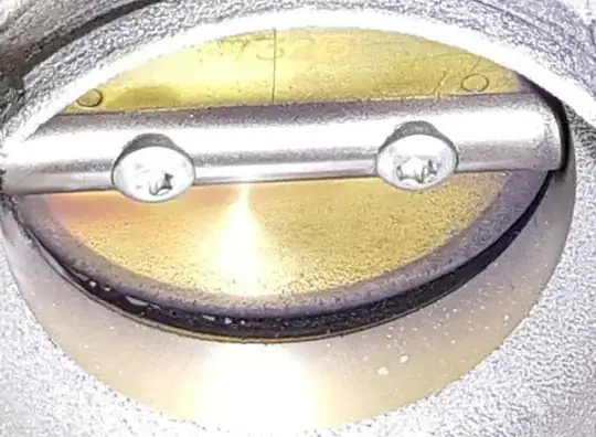 Throttle Body Dirty