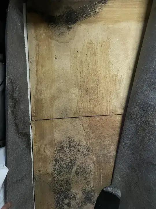 a closer look under the carpet