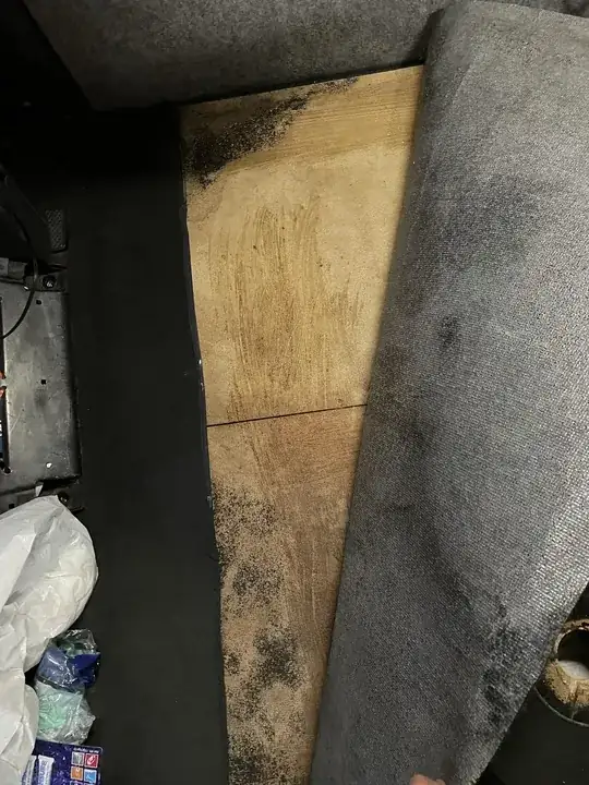 under the carpet by the window where there’s a leak