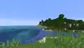A forest next to a lukewarm ocean.
