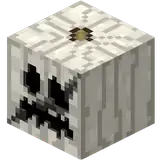 White Pumpkin Mask (Damaged).png: Infobox image for White Pumpkin the story mode item in Minecraft
