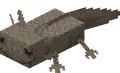Axolotl