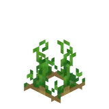 Potatoes Age 4-6.png: Infobox image for Potato the item in Minecraft