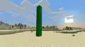 A natural eight block tall cactus, extremely rare.