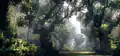 Concept art for a forest