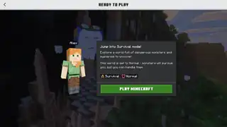 The "Ready To Play" screen.