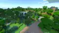 A flower forest with ray tracing.