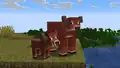 A warm cow with its baby.