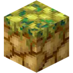 Peelgrass Block.png: Infobox image for Peelgrass Block the block in Minecraft