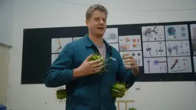 Cactii.jpg: Infobox image for Cactus Ball the object in Minecraft