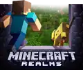 The original Java Edition Realms banner