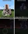 Vibration particles of the hollowed. First starting off as one pixel then four pixels encircled by a ring then bigger circles.