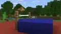 Frog doing the high jump.