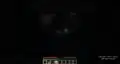 The showcase of the new warden subtitles.