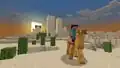 Steve riding a camel out of the sunset.