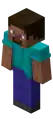 Steve.