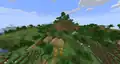 A village in a flower forest.