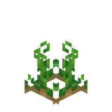 Potatoes Age 4-6 BE.png: Infobox image for Potato the item in Minecraft
