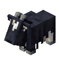 Dark baby goat idle