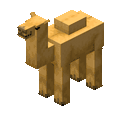 A camel.
