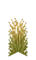 Large Dried Grass