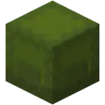 Green Shulker Box.png: Infobox image for Shulker Box the block in Minecraft