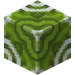 Green Glazed Terracotta.png: Infobox image for Glazed Terracotta the block in Minecraft