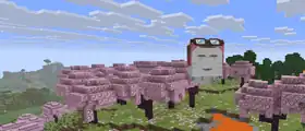 1.21.6-rc1.jpg: Infobox image for Minecraft 1.21.6 Release Candidate 1 the version in Minecraft